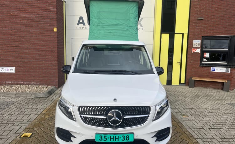 Marco Polo – 4 Persoon MARCO POLO- luxe uitgevoerde Mercedes Benz V Klasse