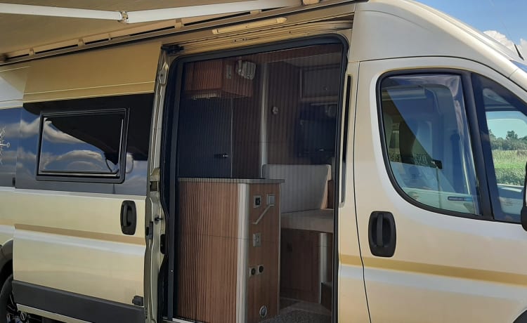 Travelcar – Beau bus de camping-car moderne et cool pour 2 personnes
