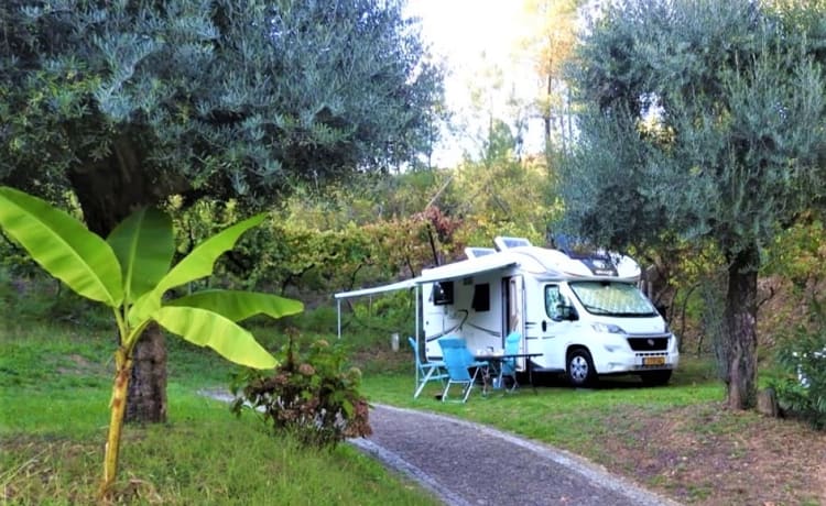 ✅ Luxueux tout confort 5 pers. camping-car familial