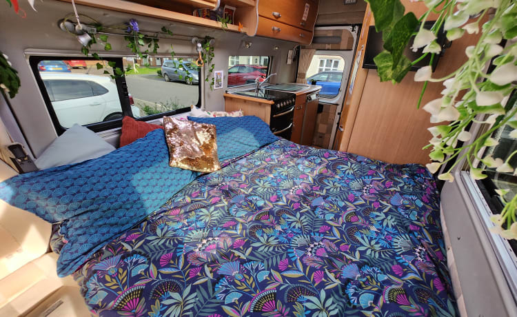 Bertha – Camping-car compact 2 places - Symbole des couchettes automatiques 2008