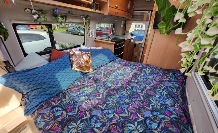 Bertha – 2 Berth Compact Motorhome - Auto-Sleepers Symbol