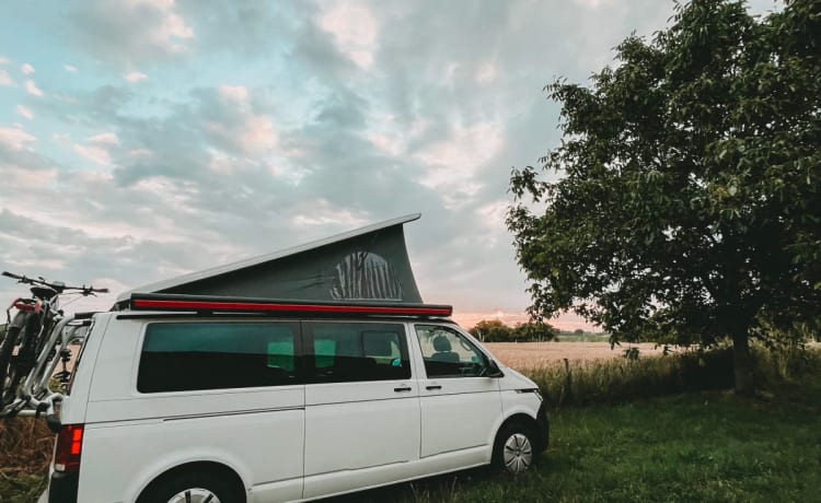 Kättche – VW T6.1 – Der Wohlfühl-Camper mit viel Platz!