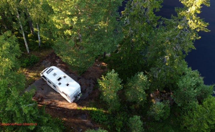 Top Camper Dethleffs Trend en parfait état