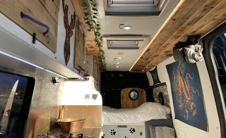 The Big Green Van – Tour in luxe door de NC500 - inclusief grote off-grid camperverzekering met 3 slaapplaatsen