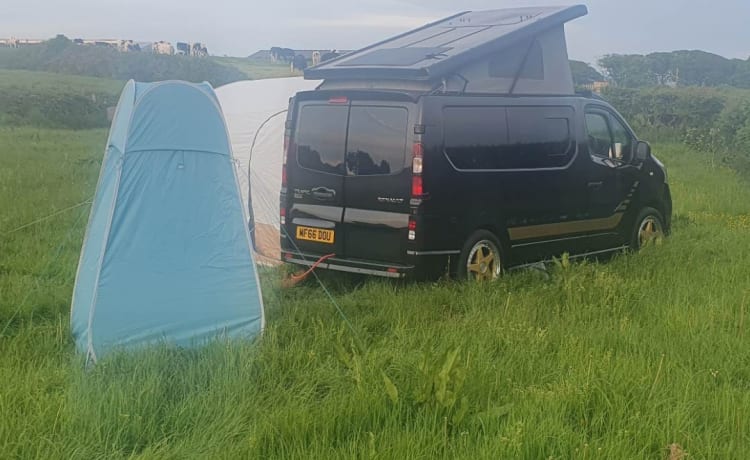 Bert – Op maat gemaakte off-grid Renault-camper met 4 slaapplaatsen uit 2016