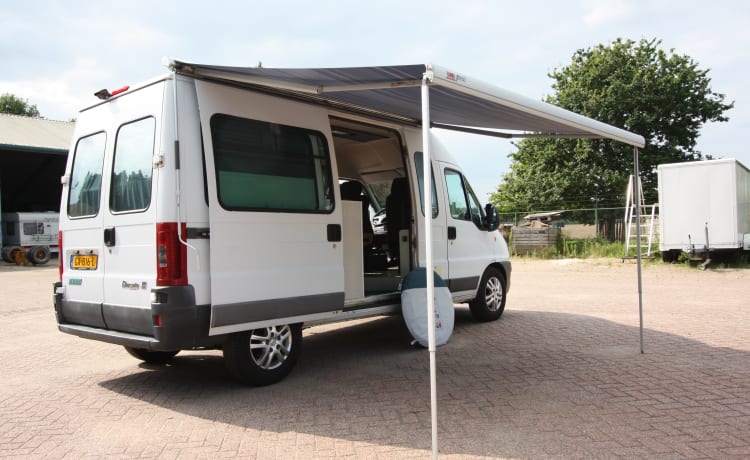 Neat 4 pers. Fiat Ducato bus camper (spacious fixed bed); 2.8 TD with pit