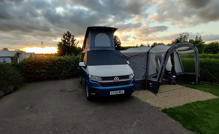 Conduisez 'The Falcon' - Notre camping-car VW T6.1 à 4 couchettes