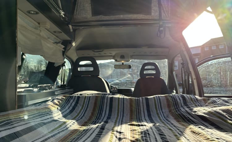 Cheetah – Camper bus Fiat Scudo 2 posti Cheetah