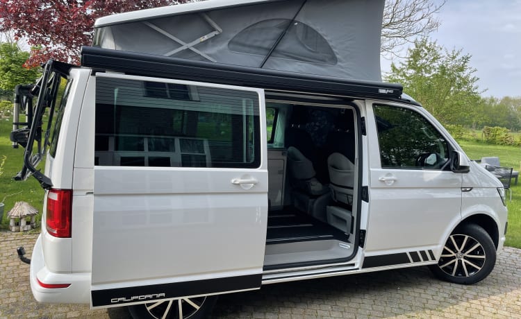 De Witte – Avontuurlijke Volkswagen California T6 - 2 tot 4 pers 