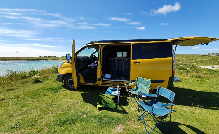 Bumble – Bumble, de perfecte camper om Orkney te verkennen