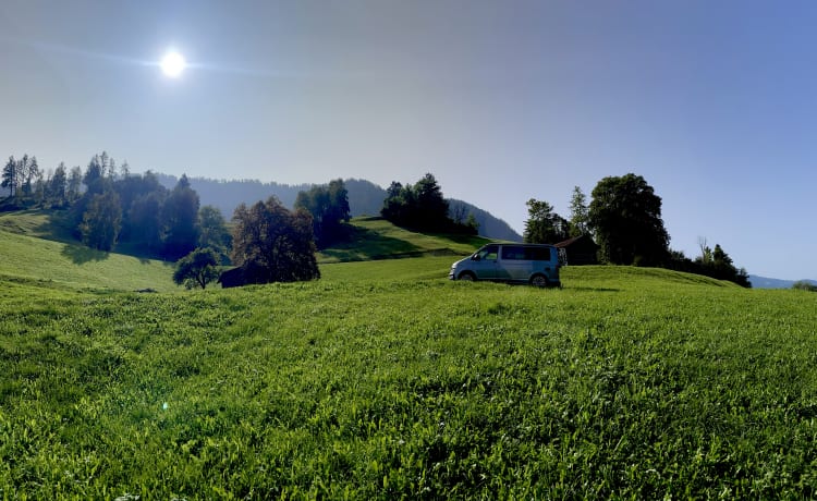 Cali – VW California coast.