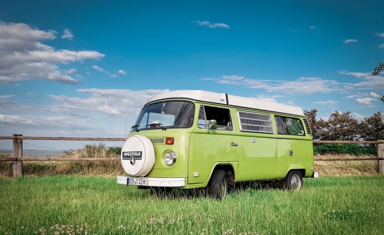 Honu Lohi – RAD-Rent a Dream - VW T2 Westfalia "Berlin" - Huur je retrodroom