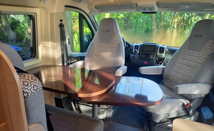 Bus camper 4p automatico dal 2021