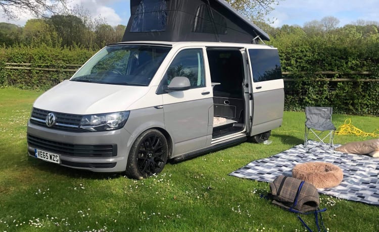 Ivy – Huisdiervriendelijke VW-camper - MK179HD Milton Keynes