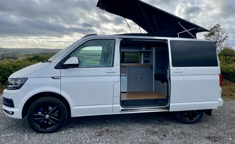 Pearl – VW T6 DSG Auto Campervan, VERSICHERUNG IM PREIS INKLUSIVE! *4 Schlafplätze *Nachtheizung!