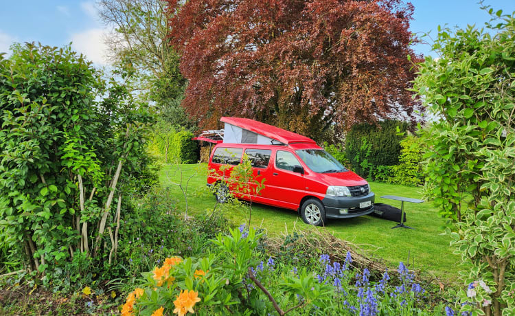 Dan – Toyota Hiace-camper 