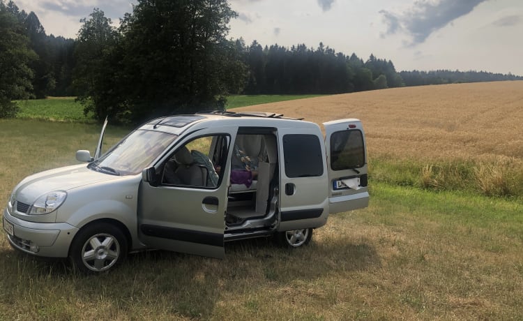 Willi – Vermiete Renault Kangoo Minicamper Eigenumbau