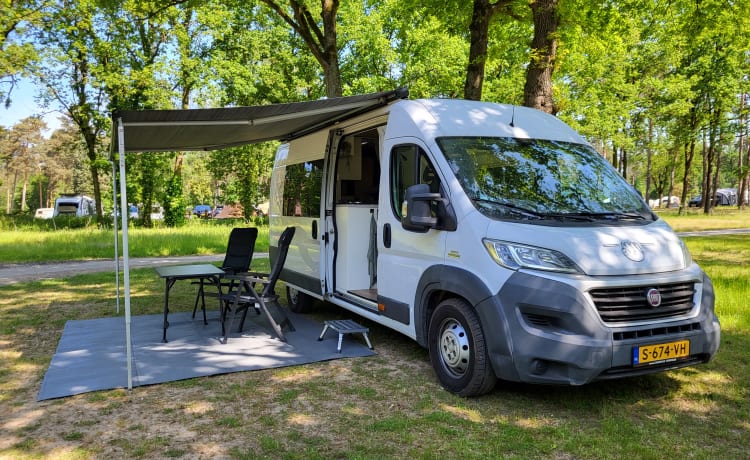 Pura Vida Van – Camping-car bus 3 personnes construit en 2023