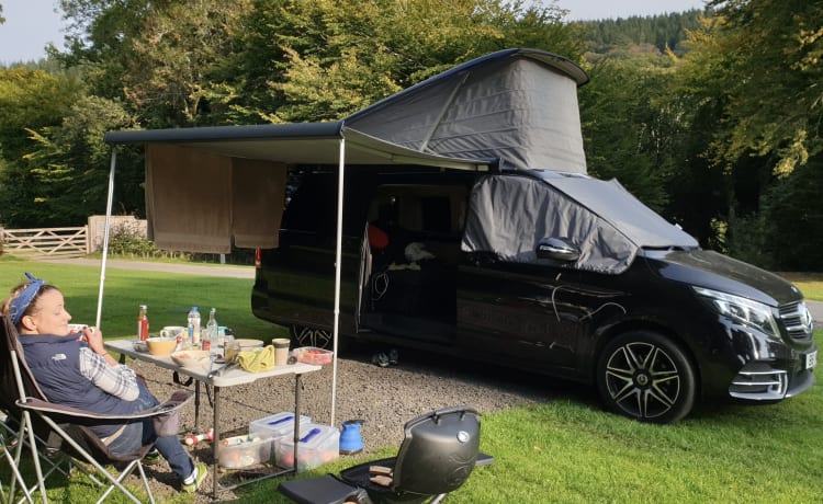 Pookiemobile – Top Range Marco Polo AMG V250: Drive in Style