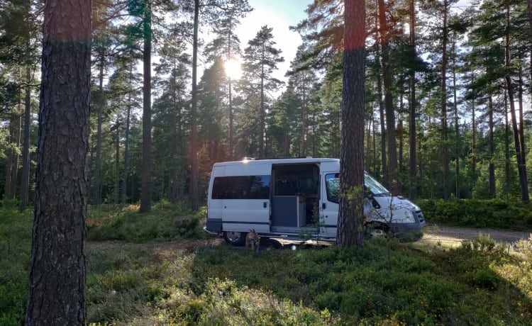 Ben the Van – Off-grid campervan geschikt voor familie met kleine kinderen 