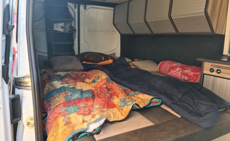 2 person Mercedes-Benz Bus camper from 2015 (Euro 6)