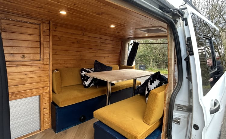 Bumble-Bee – 3 berth Ford campervan from 2017