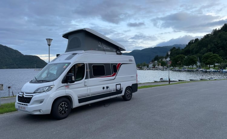 Brand new Campervan burstner campeo 4P