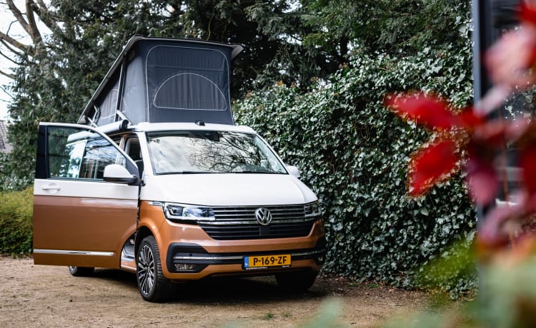 Dutch Nomad Van  – NIEUW! Compleet & Luxe uitgeruste VW California Ocean 6.1.