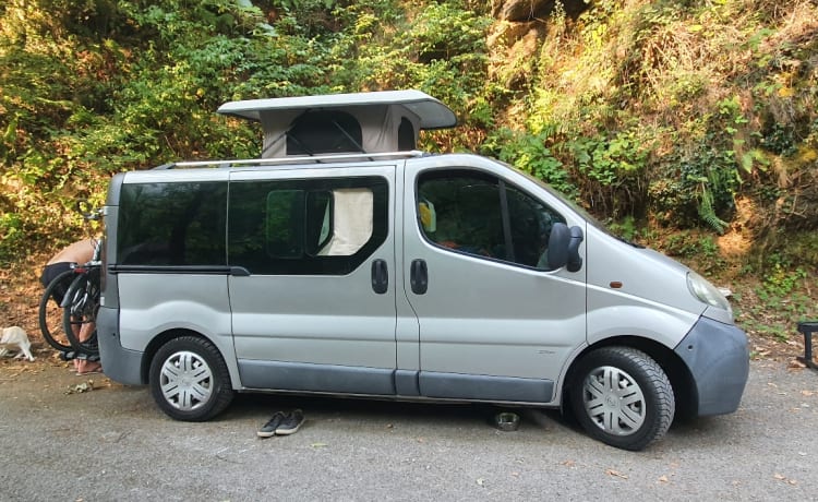 Viv – Camping-car bus pratique et complet