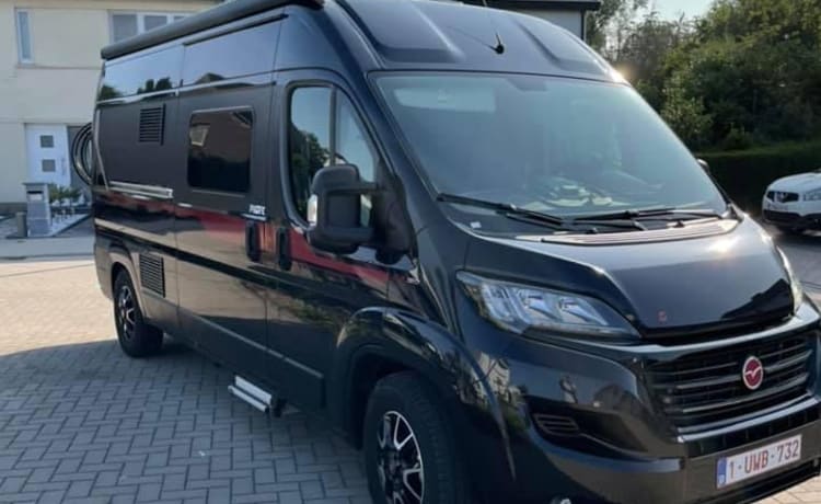 Fonzie the van 🚐  – Fiat Pilot Campervan 6m