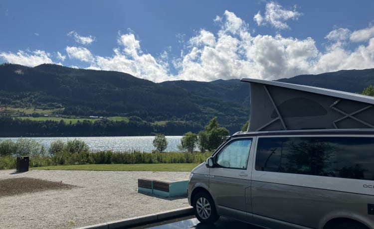 Bulli – Volkswagen California T6 Ocean (Volle Optionen)