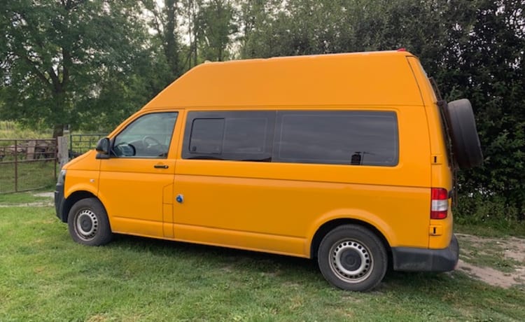 KOALA – Gemonteerde VW T5