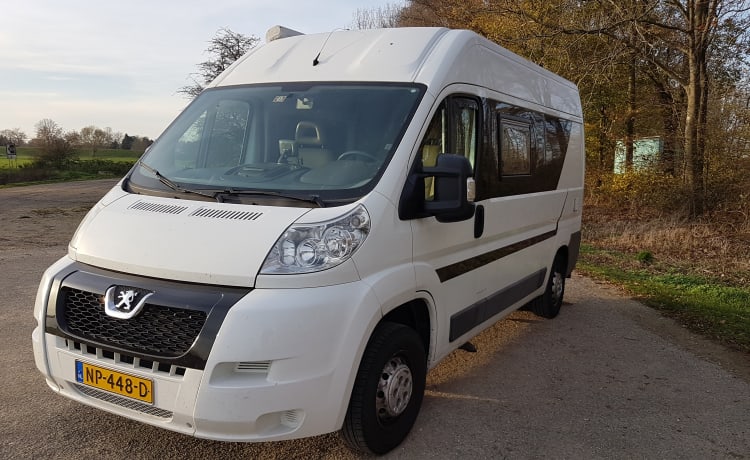 compacte camperbus, peugeot