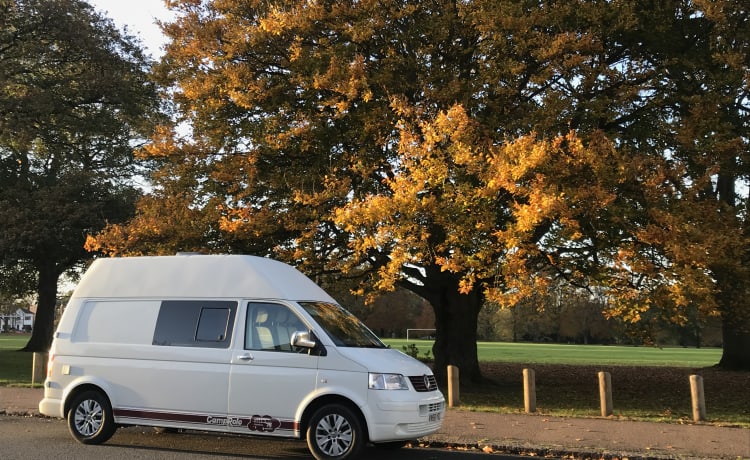 Crystal – T5 VW (2009), White High Top (LWB)