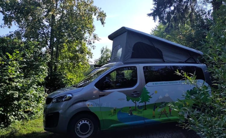 Ecobusje – Camping-car électrique pour deux personnes d'Ecobusje