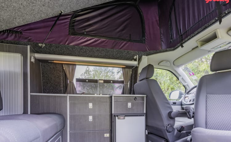 2015 – 4 persone Volkswagen Transporter t5 autobus camper 2015