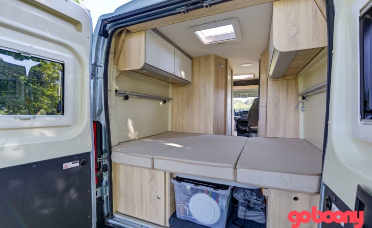 CamperVan 919 – Clever Vario Kids, 2 oder 4 Schlafplätze, nagelneuer, leiser Motor!