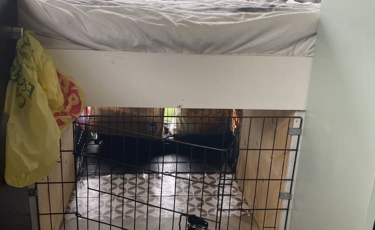 Rv dog clearance crate ideas