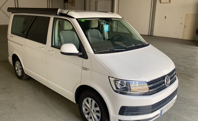 Cali  – Volkswagen California T6 (camper di fabbrica, originale)