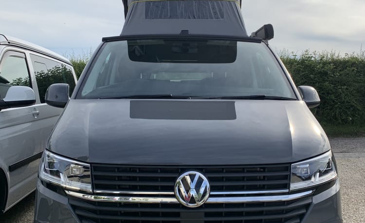 Dougal – VW T6.1