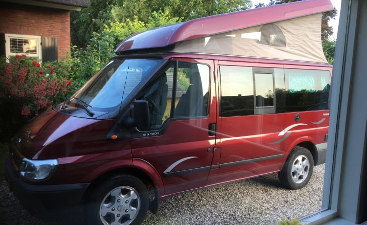 Nuggie – Nuggie wants to go, red Ford Transit nugget westfalia from 2006