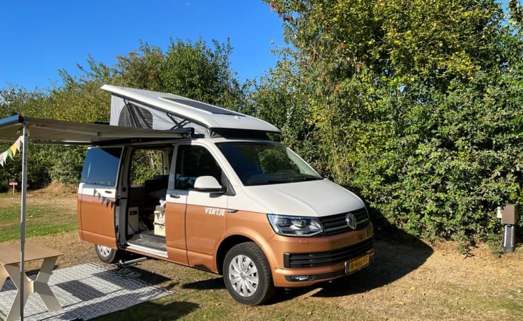 Ventje_Pezarro – Camper Ventje – Luxus-VW T6 Automatik für 4 Personen