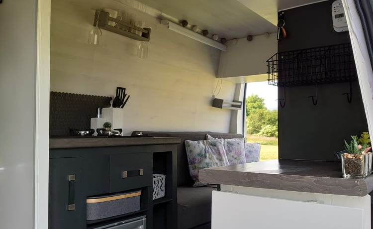 Nomad – Bespoke dog friendly adventure van 