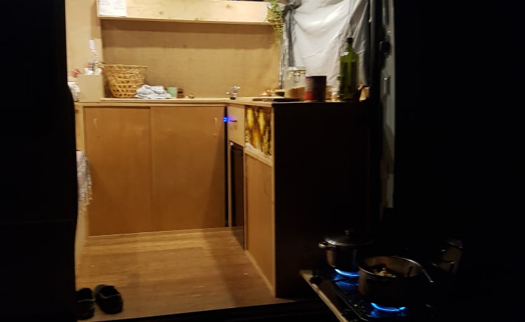 Siggy – 2P Off-grid converted cozy bus camper!