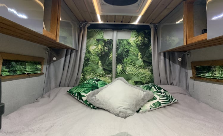 Temptation travel – Luxury 3 berth Volkswagen 