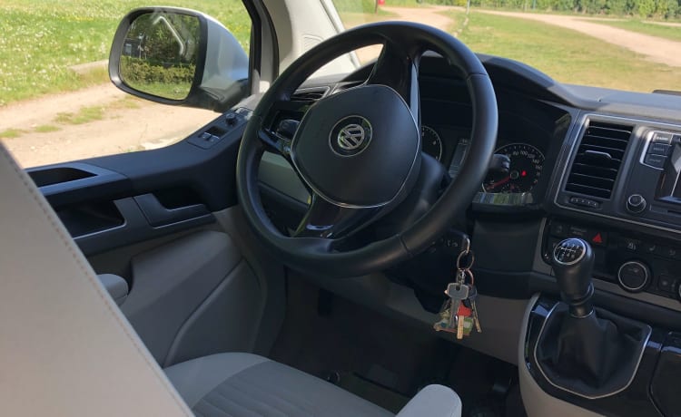 Volkswagen T6 California Ocean Camper del 2018