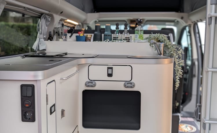 NUGGY POP TOP PLUS – 4p Ford campervan from 2023