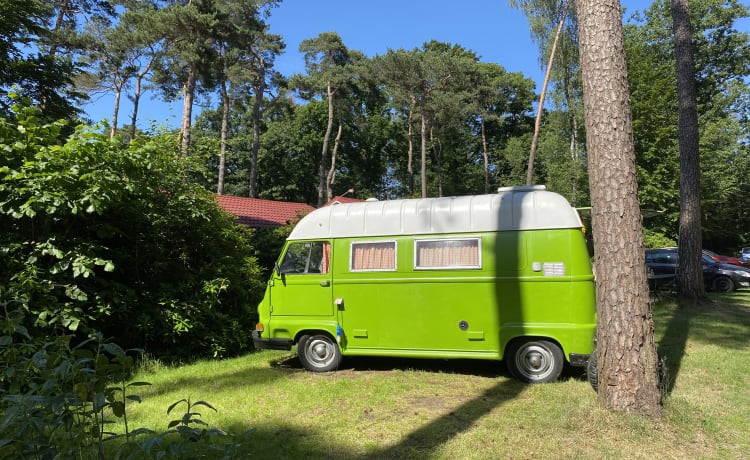 Cozy classic French oldtimer