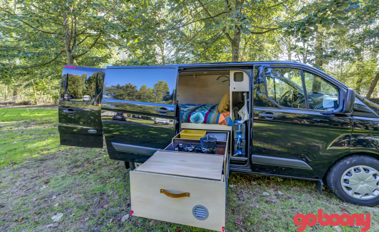 Ford Campervan with large bed & pull-out kitchen