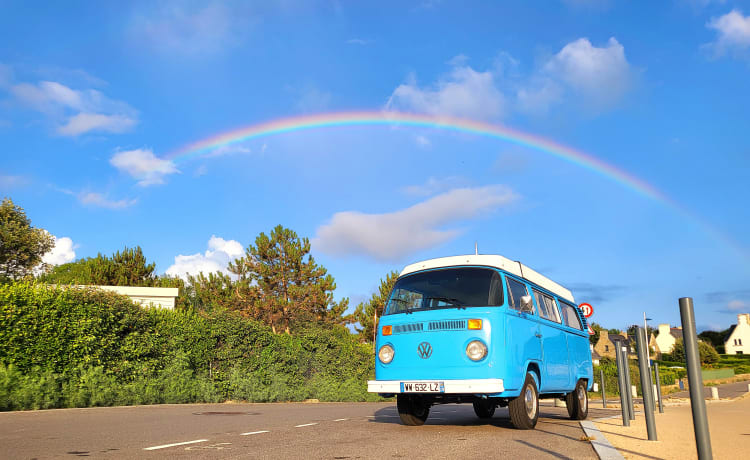 Zeppelin – Vintage Trip, combi westfalia 